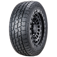 wild_track_at_11_1_1_1_1