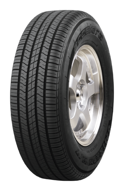Accelera Omikron tyre